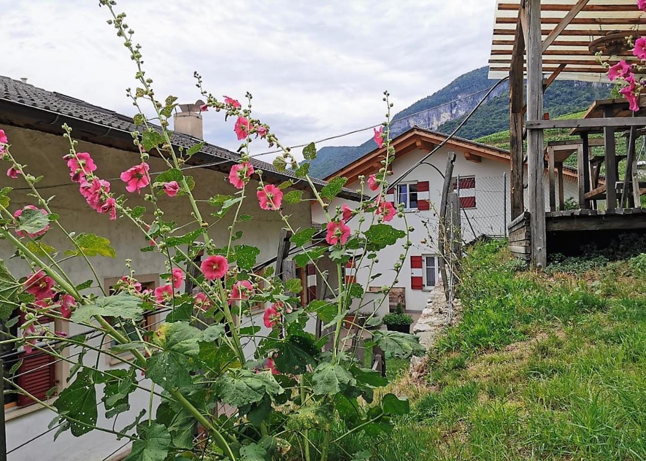 Voldersberghof Apartment Cortaccia Exterior photo